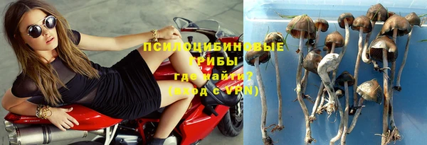 дмт Беломорск